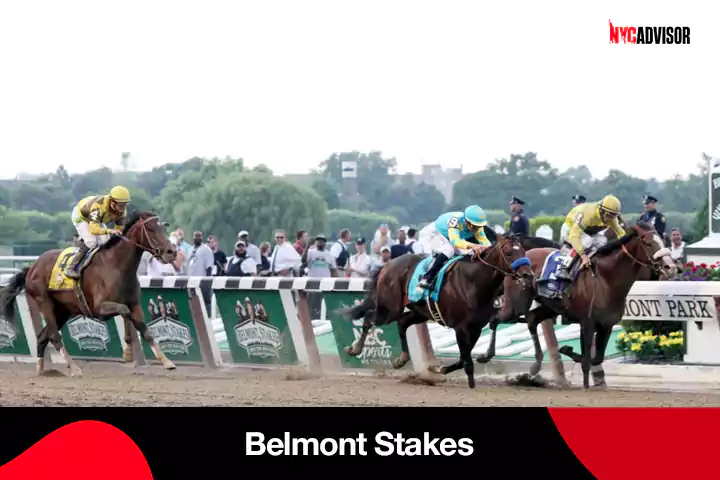 Belmont Stakes in New York City