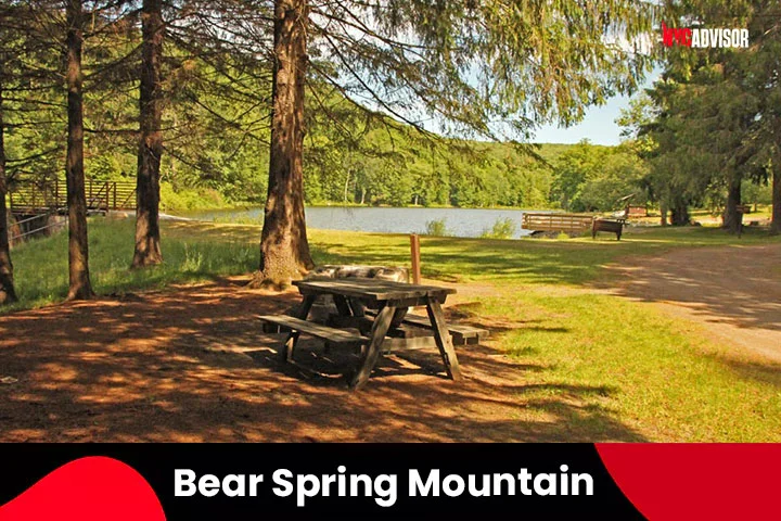 11. Bear Spring Mountain, Catskill Mountains, NY