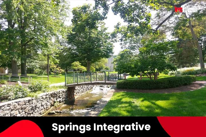 12. Springs Integrative Medicine Center & Spa, Finger Lakes, NY